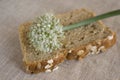Onion flower on the slice of onion bread Royalty Free Stock Photo