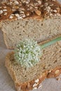 Onion flower on the slice of oniony bread Royalty Free Stock Photo