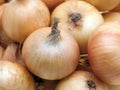 Onion food Royalty Free Stock Photo