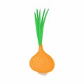 Onion with fresh green sprout icon, cartoon style Royalty Free Stock Photo