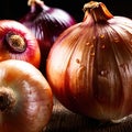 Onion fresh raw organic vegetable