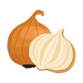 onion fresh vegetable icon design