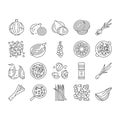 Onion Fresh Vitamin Vegetable Icons Set Vector