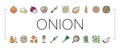Onion Fresh Vitamin Vegetable Icons Set Vector
