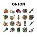 Onion Fresh Vitamin Vegetable Icons Set Vector