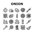 Onion Fresh Vitamin Vegetable Icons Set Vector