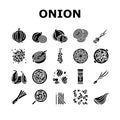 Onion Fresh Vitamin Vegetable Icons Set Vector