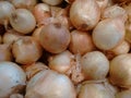 Onion, garden onion, scallion, potato onion, multiplier onion, egyptian onion, topset onion, bulb onion, tree onion or cepa Royalty Free Stock Photo