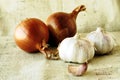 Onion & garlic Royalty Free Stock Photo