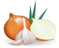 Onion and garlic. Royalty Free Stock Photo