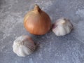 Onion and garlic on marble background Royalty Free Stock Photo