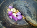 Onion and garlic in a pestle and stone mortar Royalty Free Stock Photo