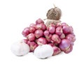 Onion and garlic put together as a group small and large and spices cooking Royalty Free Stock Photo