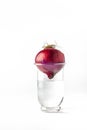 Onion in a glass with water upside down Royalty Free Stock Photo