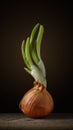 onion with green sprouts stands vertically on a cutting board on a soft brown background with light spot. moody artistic rustic Royalty Free Stock Photo