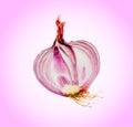 Onion half