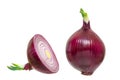 Onion and half of onion isolated on white background with clipping path Royalty Free Stock Photo