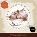 Onion hand drawn illustration. Vintage retro background with hand drawn sketch onions.