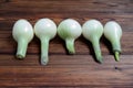 Onion heads on the kitchen table