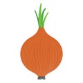 Onion icon