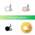 Onion icon Royalty Free Stock Photo