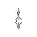 Onion icon, outline style