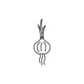 Onion icon, outline style Royalty Free Stock Photo