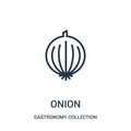 onion icon vector from gastronomy collection collection. Thin line onion outline icon vector illustration