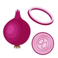 Onion illustration. Set of sliced, chopped red onion. Flat style.