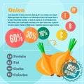 Onion infographics and vitamins in a flat style Royalty Free Stock Photo