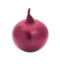 Onion isolated on a white background. One red onion isolated Royalty Free Stock Photo