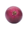 Onion isolated on a white background. One red onion isolated Royalty Free Stock Photo