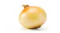 Essence of Flavor: Isolated Onion on White