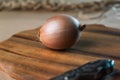 Onion lies in center of frame on wooden board part Royalty Free Stock Photo