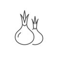 Onion line icon or vegetable concept