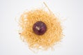 Onion on the nest with white background