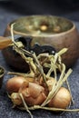 Onion and old vintage cooking pot