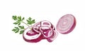 Onion, onion slices and parsley Royalty Free Stock Photo