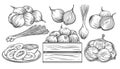 Onion outline drawn monochrome icon