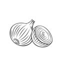 Onion outline icon