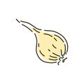 Onion outline on a white background. Icon. Vector illustration