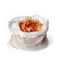 Onion peel in bag on white Royalty Free Stock Photo