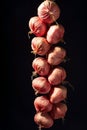 Onion pigtail on a dramatic black background. Minimalism Royalty Free Stock Photo