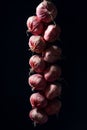Onion pigtail on a dramatic black background. Minimalism Royalty Free Stock Photo