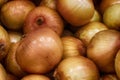 Heaped onions, an important spice in any dish.