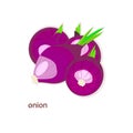 Onion. Purple onion design element stock
