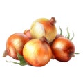 Onion. Realistic close-up illustration of fresh vegetable, isolated on white background. Generative AI