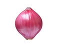 Onion red whole one cleaned  isolated on white background with clipping path Royalty Free Stock Photo