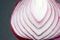 Onion refines so many dishes in the kitchen Royalty Free Stock Photo