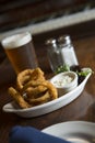 Onion Rings and Beer Royalty Free Stock Photo